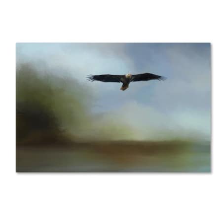 Jai Johnson 'Juvenile Eagle At The Lake' Canvas Art,16x24